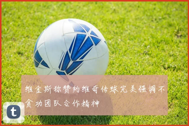 维金斯称赞约维奇传球完美强调不贪功团队合作精神