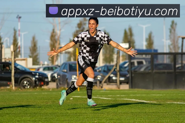 贝博体育平台生态图