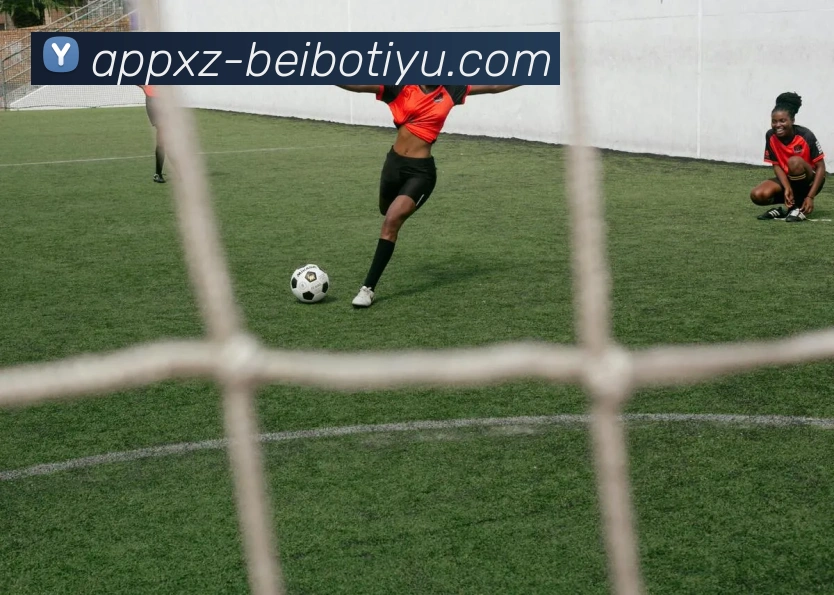 贝博体育全站App